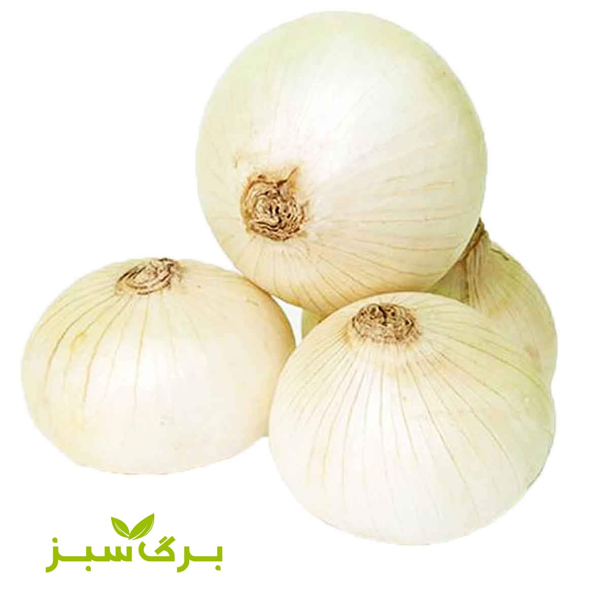 پیاز سفید اصفهان برگ سبز (وزن انتخاب کنید)