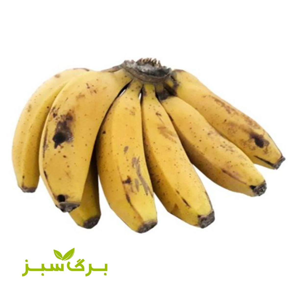 موز ایرانی برگ سبز (وزن انتخاب کنید)