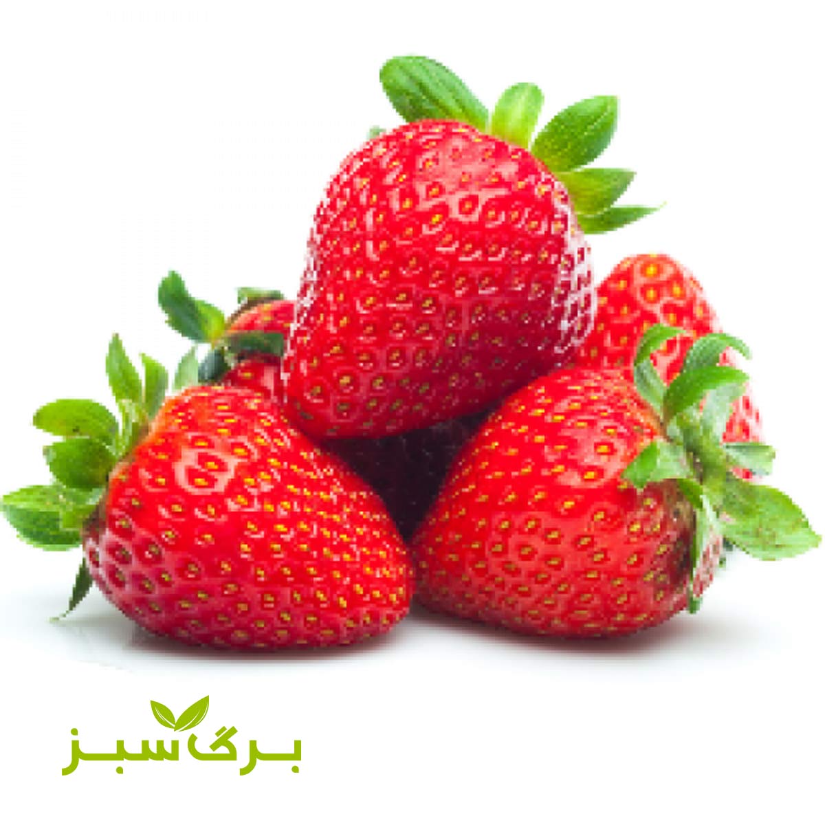 توت فرنگی جیرفت برگ سبز (وزن انتخاب کنید)